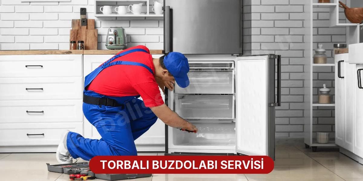 Torbalı Buzdolabı Servisi