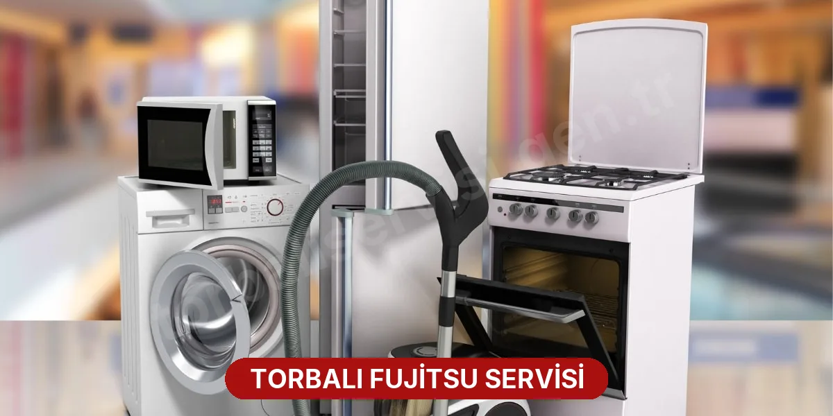 Torbalı Fujitsu Servisi