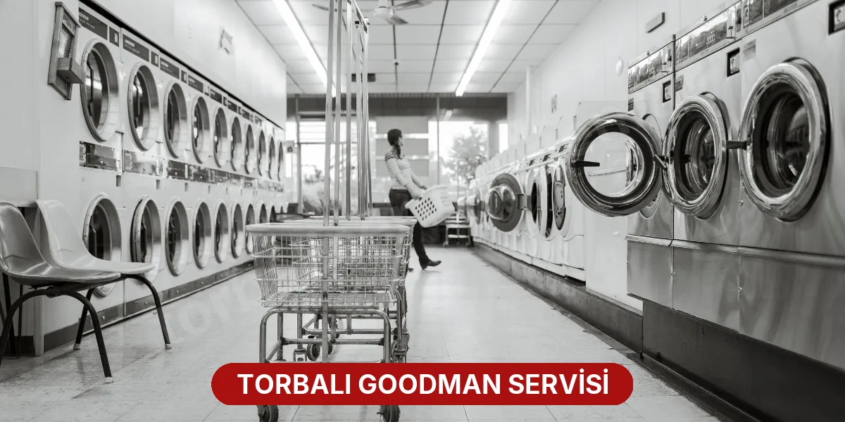 Torbalı Goodman Servisi