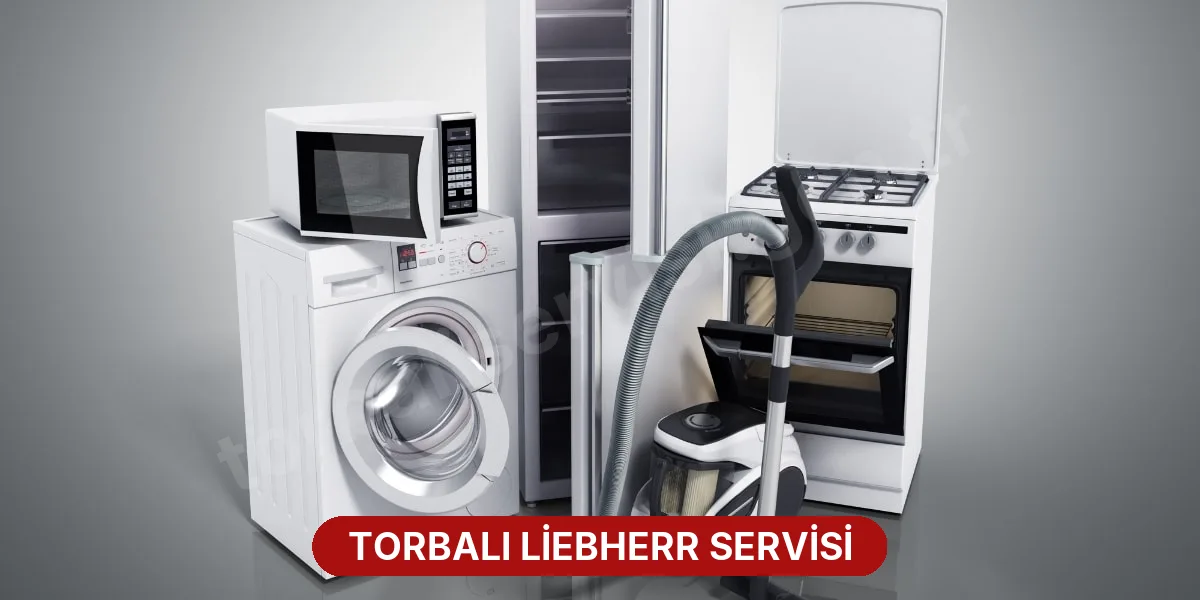 Torbalı Liebherr Servisi