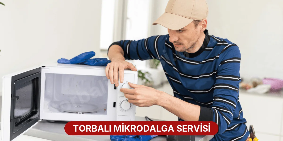 Torbalı Mikrodalga Servisi