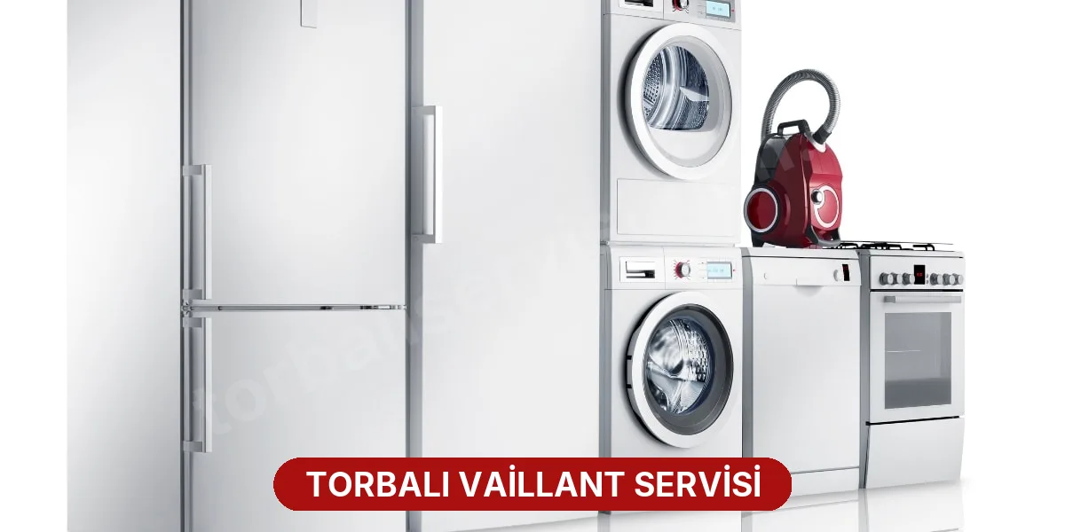 Torbalı Vaillant Servisi